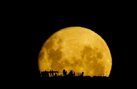 A LA LUZ DE LA LUNA
