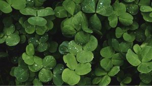 Reflexión sobre la buena suerte