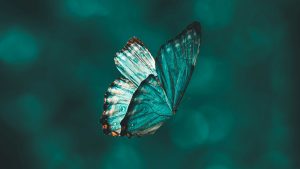 Somos lo que hacemos para cambiar lo que somos