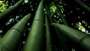 Reflexión sobre el tiempo