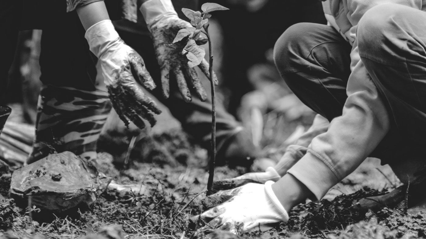 El hombre que plantaba árboles