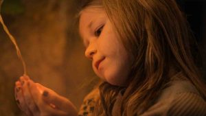 Reflexión sobre la indiferencia