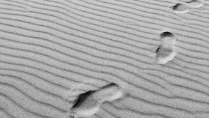 Reflexión sobre una cita de Francisco de Asís