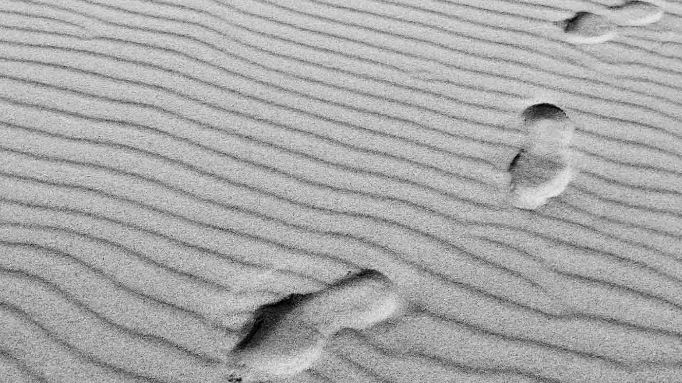 Reflexión sobre una cita de Francisco de Asís